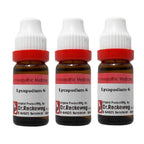 Dr. Reckeweg Lycopodium Dilution | Grocsy