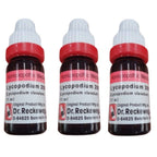 Dr. Reckeweg Lycopodium Dilution | Grocsy