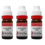Dr. Reckeweg Lycopodium Dilution | Grocsy