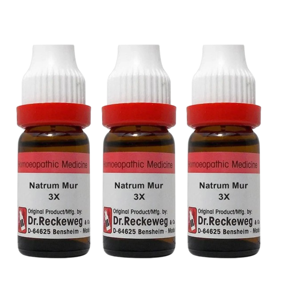 Dr. Reckeweg Natrum Mur Dilution | Grocsy