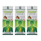Dr. Willmar Schwabe India Dizester Herbal Digestive Tonic (Sugar-Free) | Grocsy