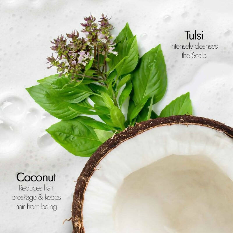 Kapiva Ayurveda Hair Rituals Tulsi Anti-Hairfall Shampoo | Grocsy