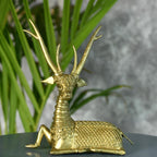 Sowpeace The Dearest Deer | Grocsy