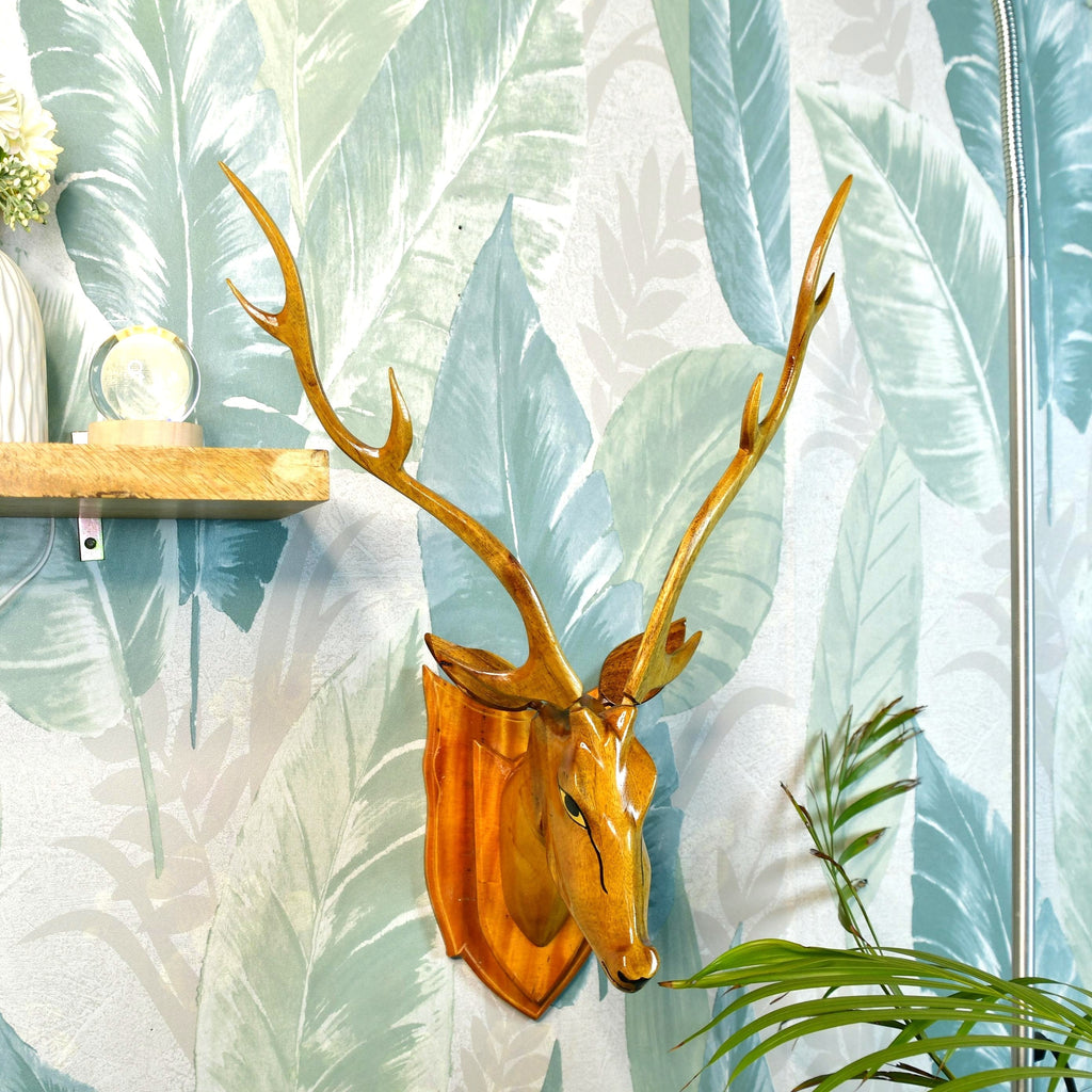 Sowpeace The Big wise head | Grocsy