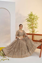Aastha Fashion Metallic Gray Butterfly Net Tone To Tone Cotton Thread Work And Sequence Work Embroidery Wedding Wear Lehenga Choli | Grocsy