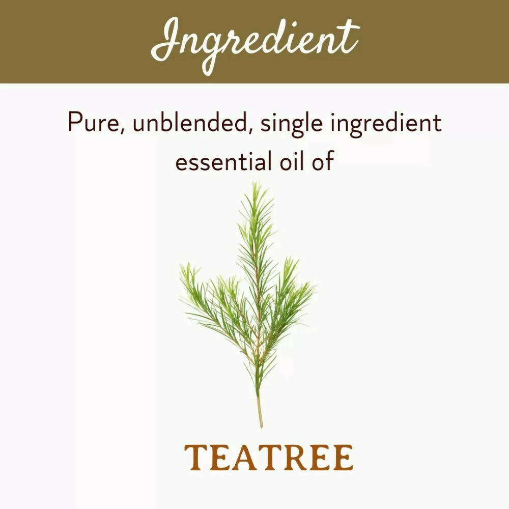 Mitti Se Tea Tree Essential Oil | Grocsy
