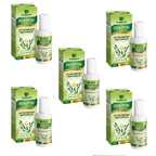 Dwibhashi Eucalyptus Oil (Tailaparna Tailam) | Grocsy