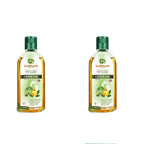Dwibhashi Olive Oil | Grocsy