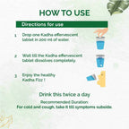 Dr. Vaidya's Kadha Fizz Effervescent Tablets | Grocsy