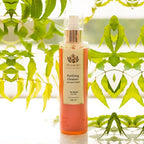 Shankara by Sri Sri Tattva Purifying Cleanser | Grocsy