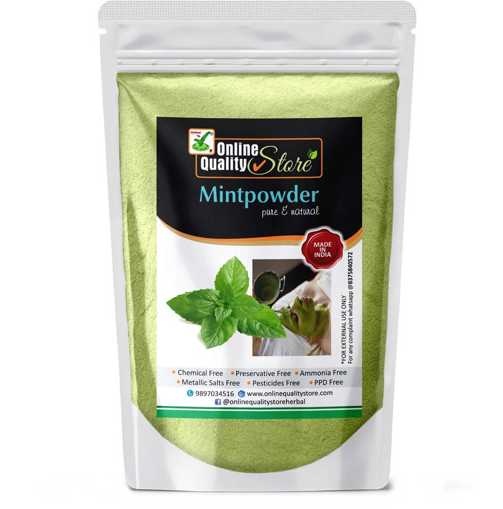 Online Quality Store Mint Powder | Grocsy