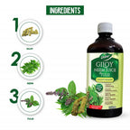 Dabur Giloy Neem Juice with Tulsi | Grocsy
