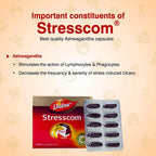 Dabur Stresscom Ashwagandha 12 Strips X 10 Capsules | Grocsy