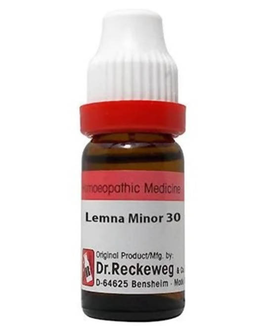 Dr. Reckeweg Lemna Minor Dilution | Grocsy