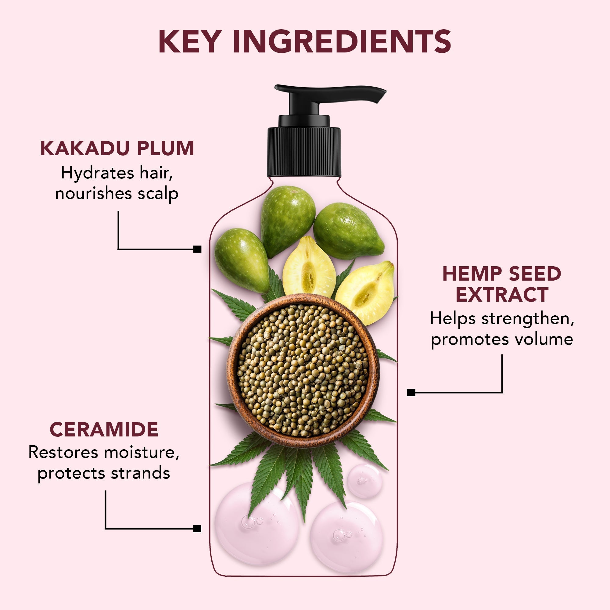 Botanic Hearth Defrizz & Hydrate Shampoo with Hemp Seed Extract & Ceramide | Grocsy