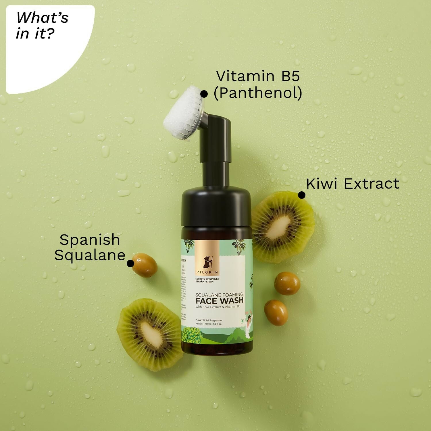 Pilgrim Spanish Foaming Face Wash With Kiwi Extracts & Aloe For Skin Hydration | Grocsy