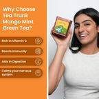 Tea Trunk Mango Mint Green Tea | Grocsy