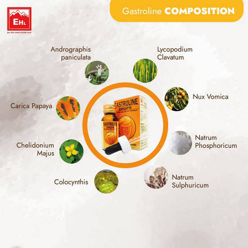 Everest Homeopathy Gastroline Drops | Grocsy