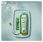 Dhathri Ayurveda Dheedhi Daily Herbal Shampoo | Grocsy