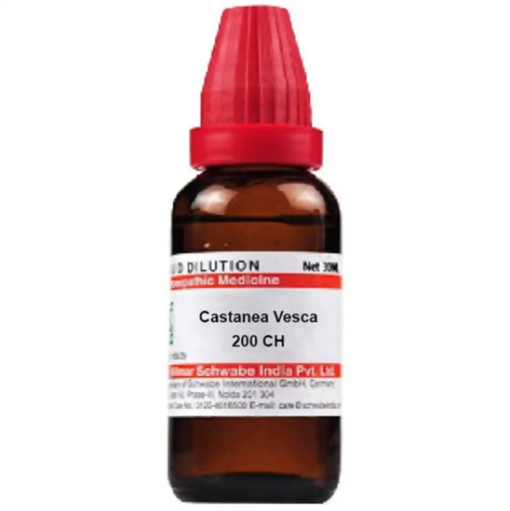 Dr. Willmar Schwabe India Castanea Vesca Dilution | Grocsy