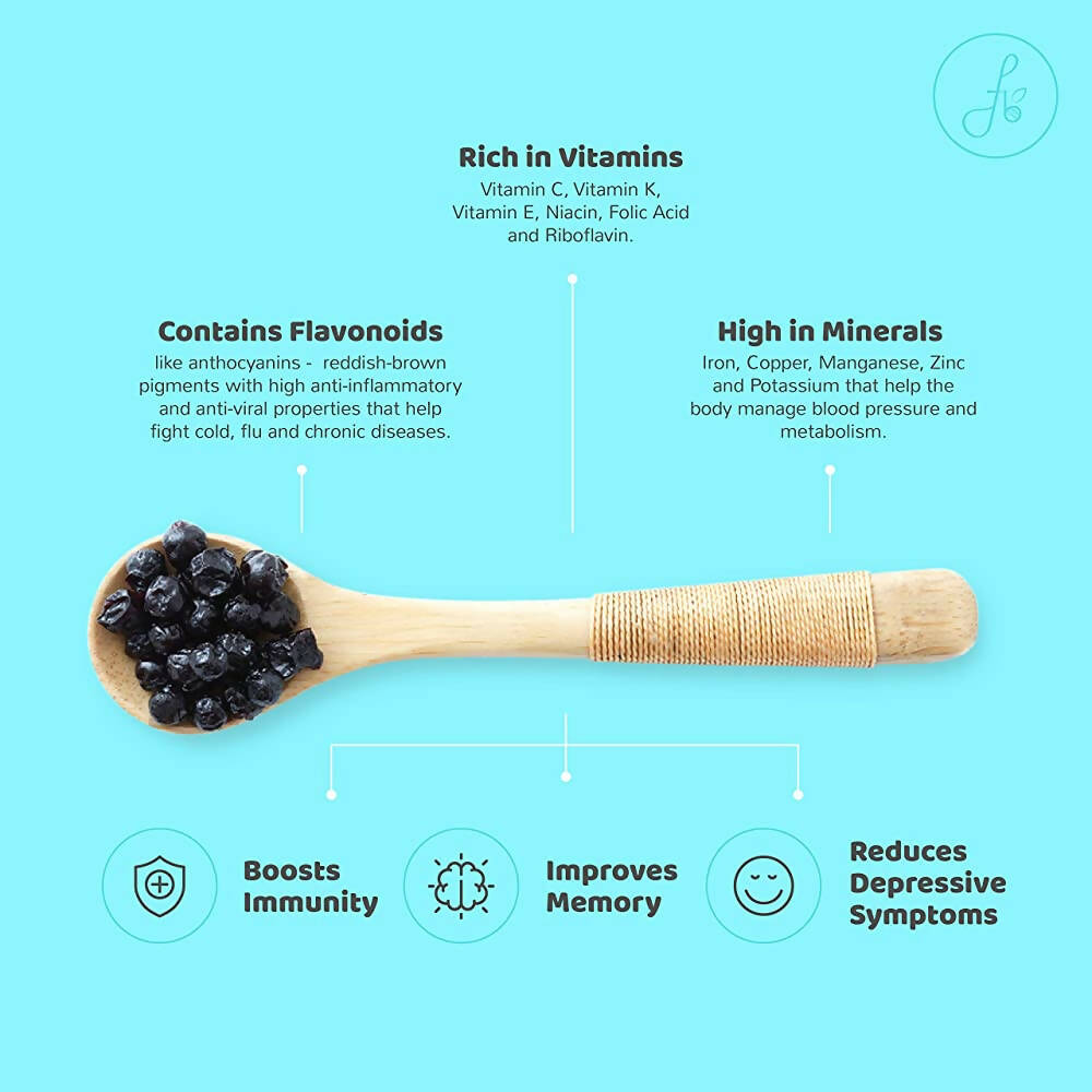 Flyberry Gourmet Dried Bold Blueberries | Grocsy