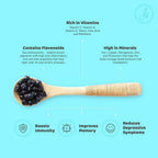Flyberry Gourmet Dried Bold Blueberries | Grocsy
