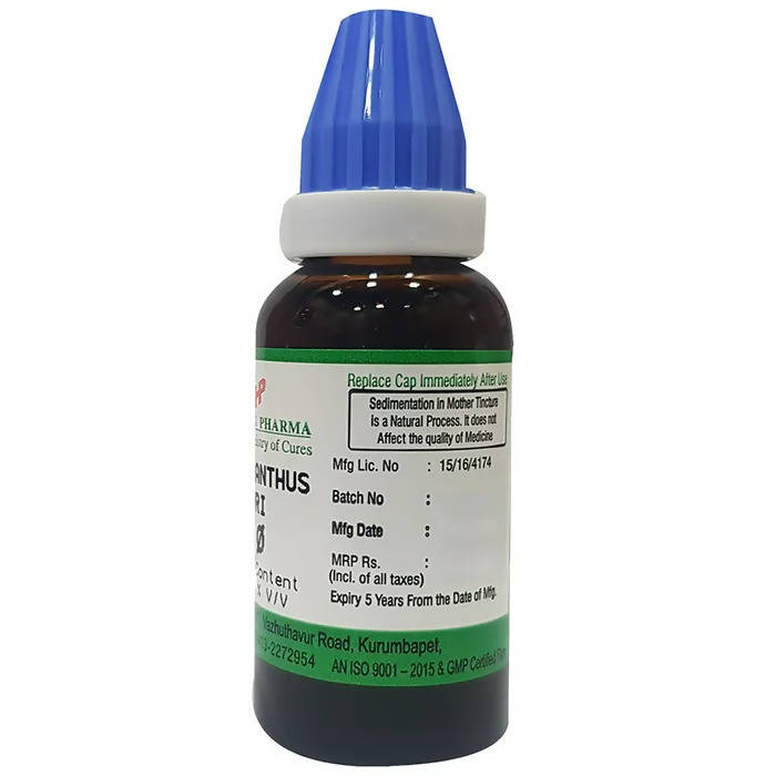 Hering Pharma Phylanthus Niruri Mother Tincture Q | Grocsy