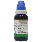 Hering Pharma Phylanthus Niruri Mother Tincture Q | Grocsy