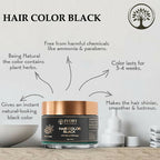 Ivory Natural Black Hair Color - Plant-Based Natural Hair Color - Both For Men Women | Grocsy
