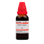 Dr. Willmar Schwabe India Berberis vulgaris Mother Tincture Q | Grocsy