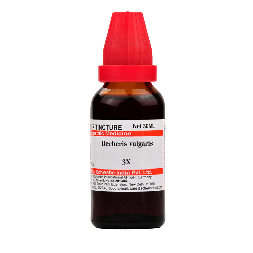 Dr. Willmar Schwabe India Berberis vulgaris Mother Tincture Q | Grocsy
