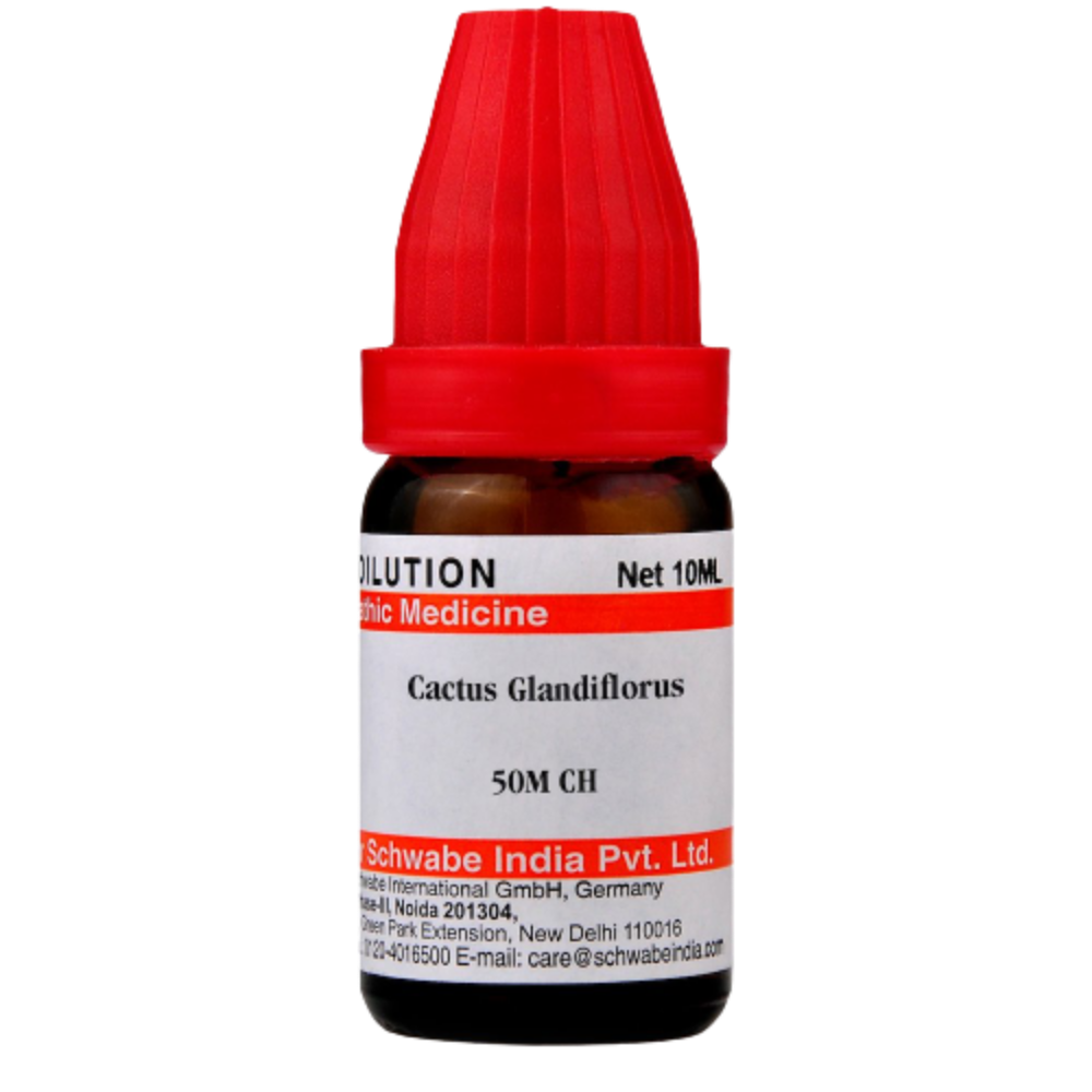 Dr. Willmar Schwabe India Cactus Glandiflorus Dilution | Grocsy