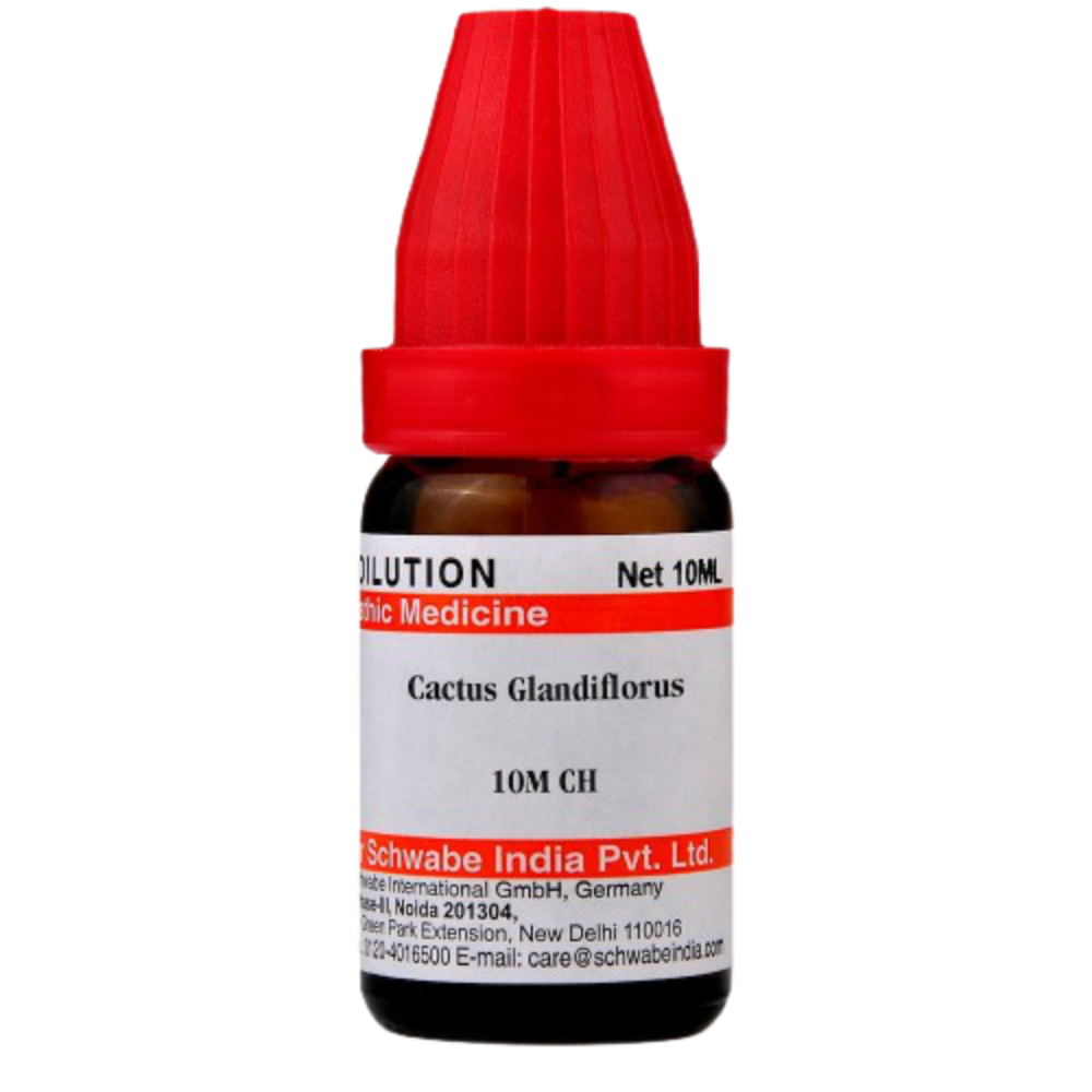 Dr. Willmar Schwabe India Cactus Glandiflorus Dilution | Grocsy