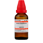 Dr. Willmar Schwabe India Cactus Glandiflorus Dilution | Grocsy
