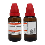 Dr. Willmar Schwabe India Syzygium Jambolanum Mother Tincture Q | Grocsy