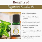 Mitti Se Peppermint Essential Oil | Grocsy
