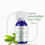 Dark Forest Organic Australian Tea Tree Essential Oil | Grocsy