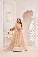 Eilara Women'S Pista Dusty Chiqu Net White Cotton Thread And Zari Sequence Embroidered Work Lehenga Choli For Party Wear | Grocsy