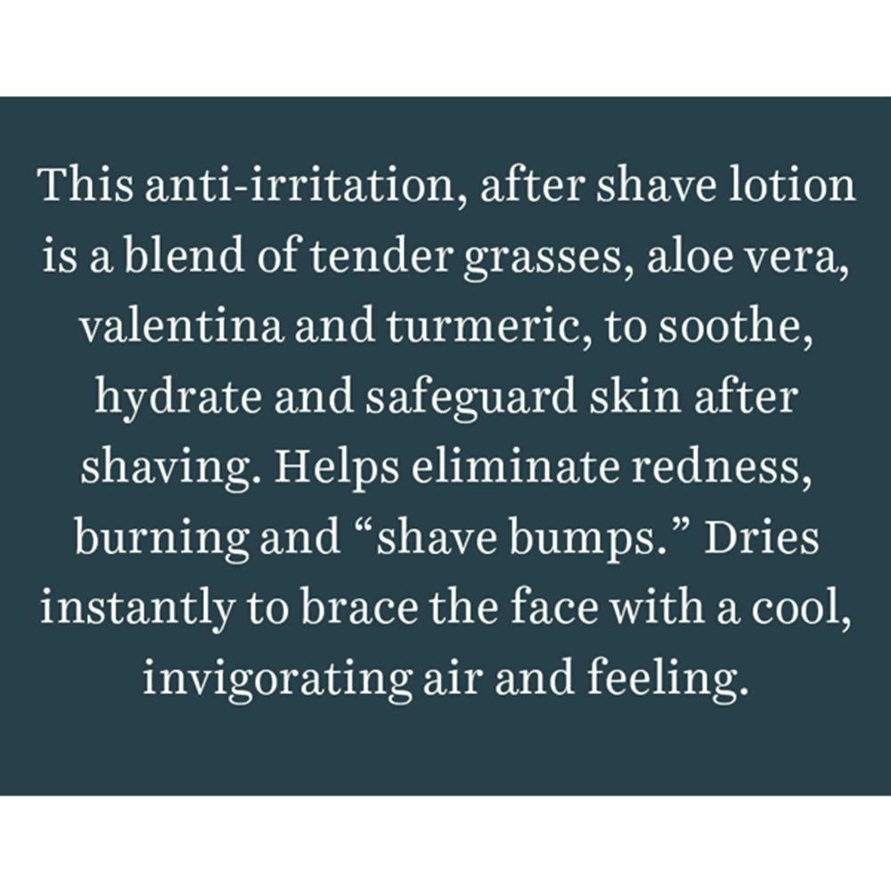 Biotique Bio Wild Grass A Soothing After Shave Gel For Men | Grocsy