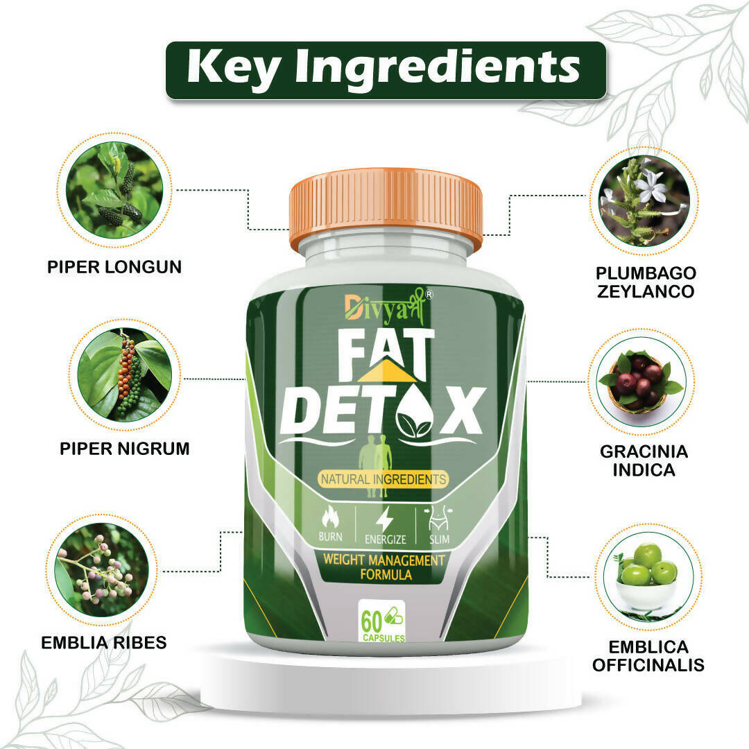 Divya Shree Fat Detox Capsules | Grocsy