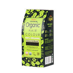 Radico Organic Hair Colour-Darkest Ash Blonde | Grocsy