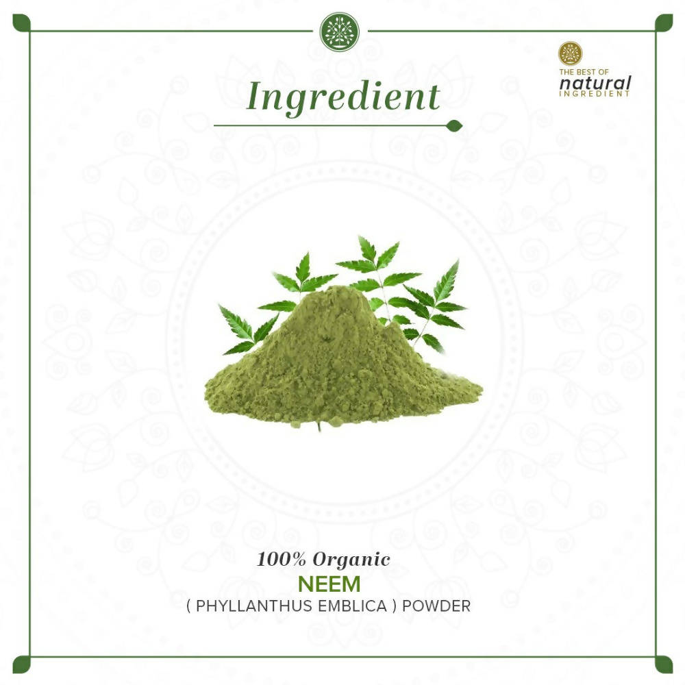 Khadi Natural Organic Neem Leaf Powder | Grocsy