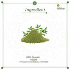 Khadi Natural Organic Neem Leaf Powder | Grocsy