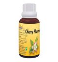 Bio India Homeopathy Bach Flower Cherry Plum Dilution | Grocsy