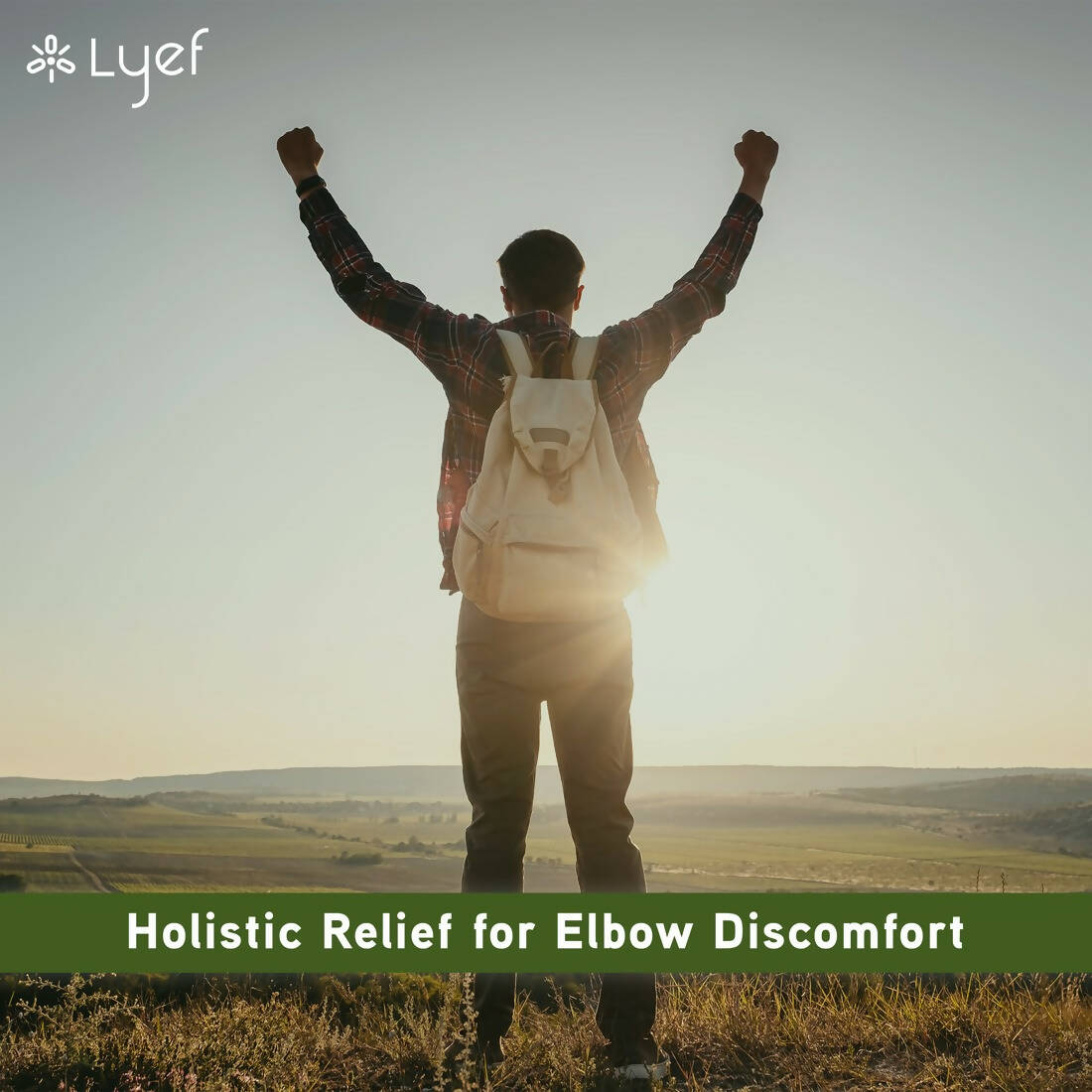 LYEF Elbow Support Capsules | Grocsy