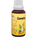 Bio India Homeopathy Bach Flower Clematis Dilution | Grocsy