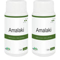 Jain Amalaki (Indian Gooseberry) Tablets | Grocsy