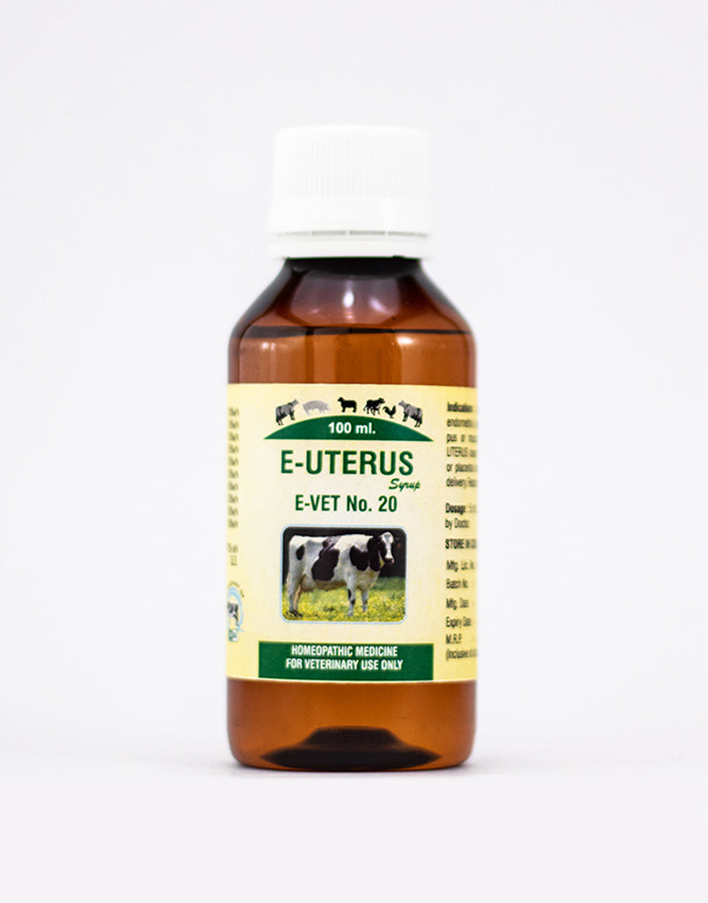 Excel Pharma E-Uterus Syrup | Grocsy