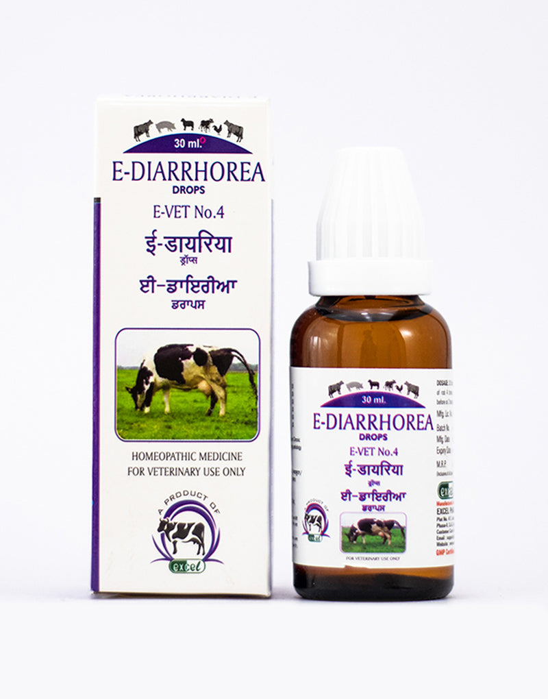 Excel Pharma E-Diarrhorea Drops | Grocsy