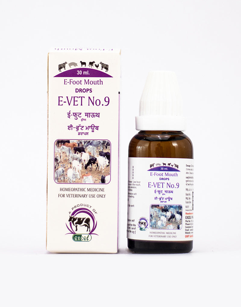 Excel Pharma E-Foot Mouth Drops | Grocsy